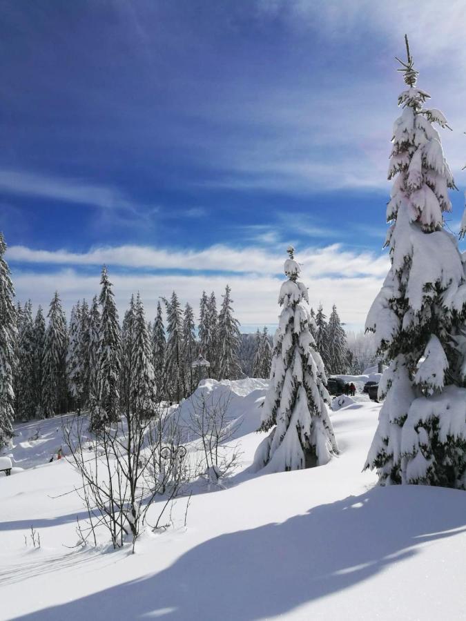 Elitza Villa Pamporovo Dış mekan fotoğraf
