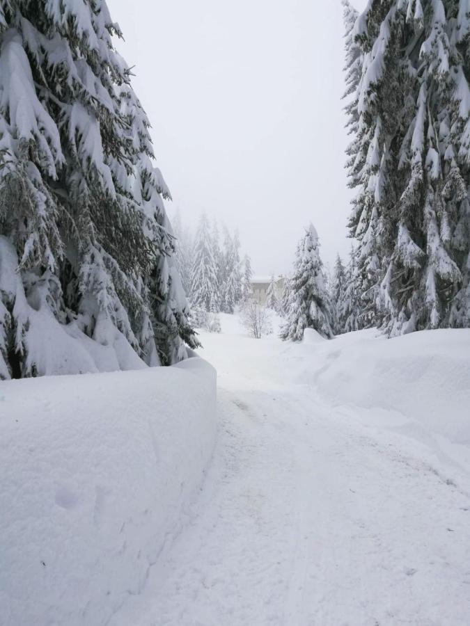 Elitza Villa Pamporovo Dış mekan fotoğraf