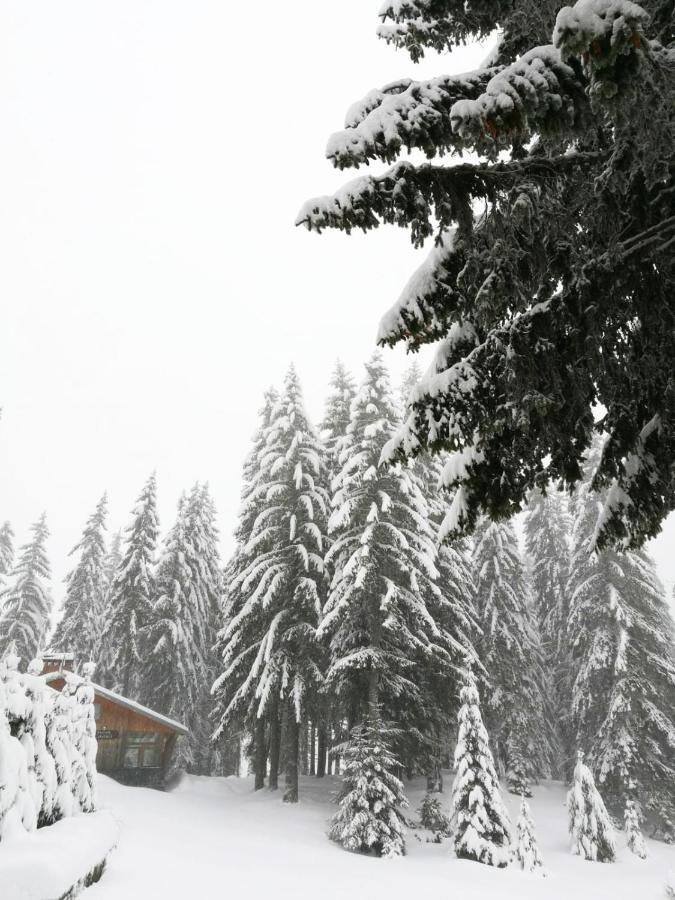 Elitza Villa Pamporovo Dış mekan fotoğraf