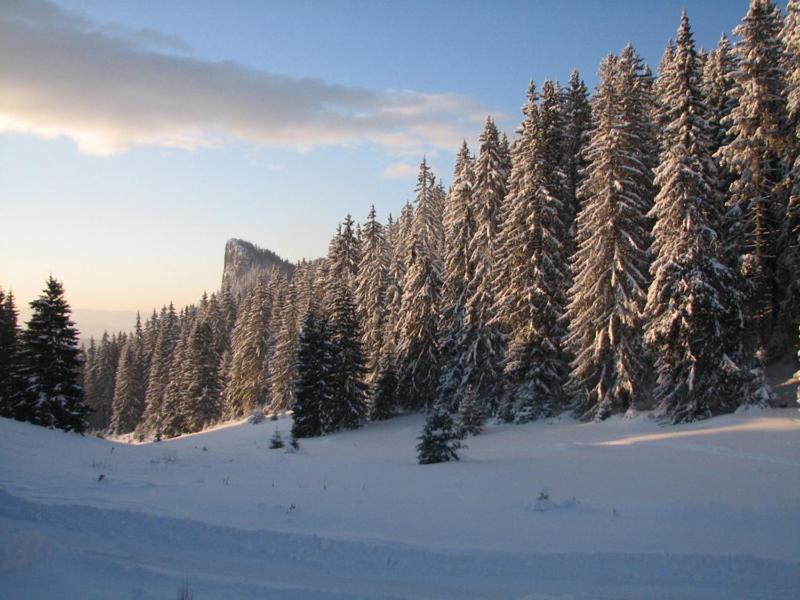 Elitza Villa Pamporovo Dış mekan fotoğraf