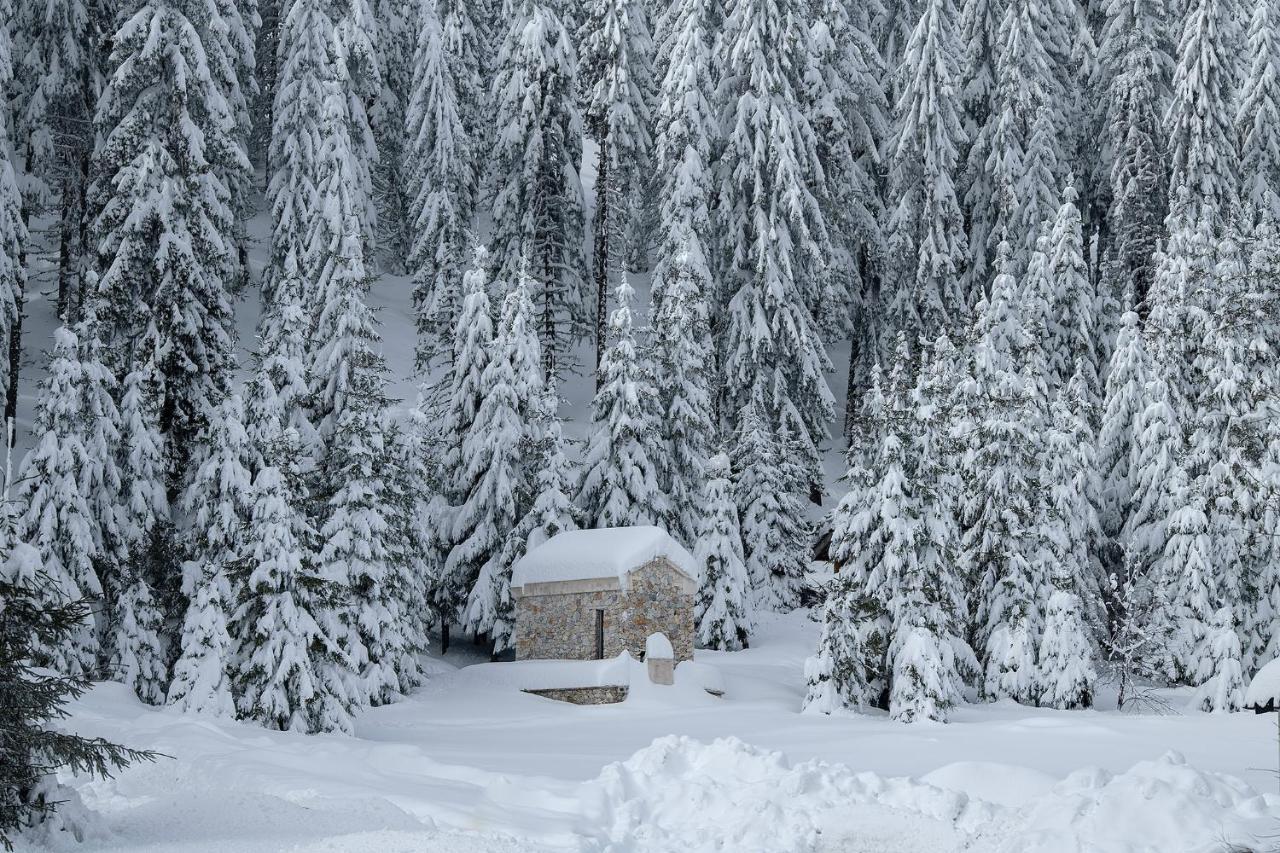 Elitza Villa Pamporovo Dış mekan fotoğraf